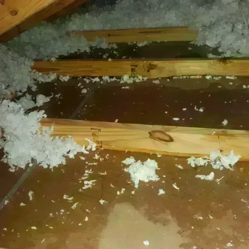 Attic Water Damage in Orangeburg, NY